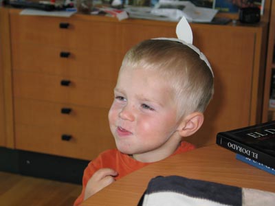 Mamas M&auml;nner